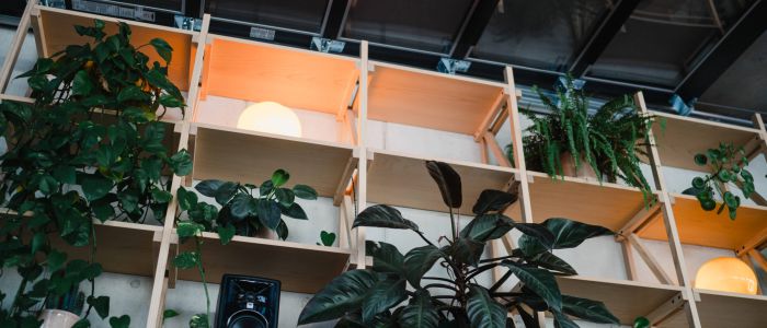 Holzregale mit Grünpflanzen, ein Lautsprecher und leuchtende Lampen sind an einer Wand unter einer Glasdecke angebracht und schaffen eine gemütliche und moderne Atmosphäre. Warmes Licht erhellt einige der Regale.