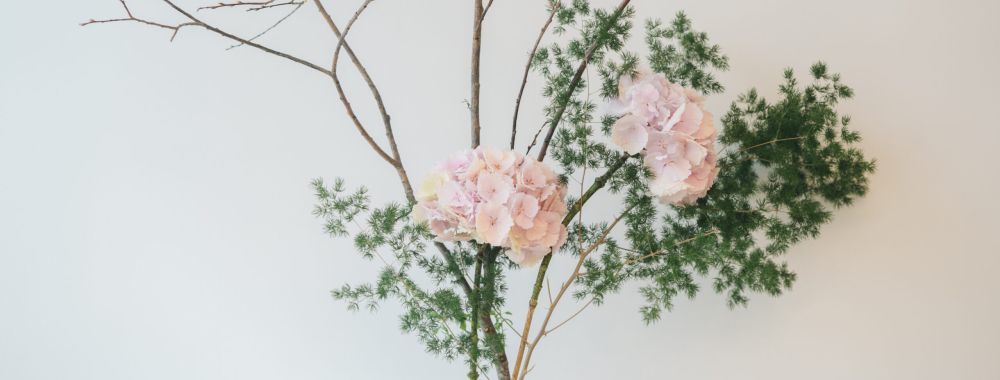 Ein minimalistisches Blumenarrangement mit zwei hellrosa Hortensienblüten, grünem Laub und kahlen Zweigen vor einem schlichten weißen Hintergrund.