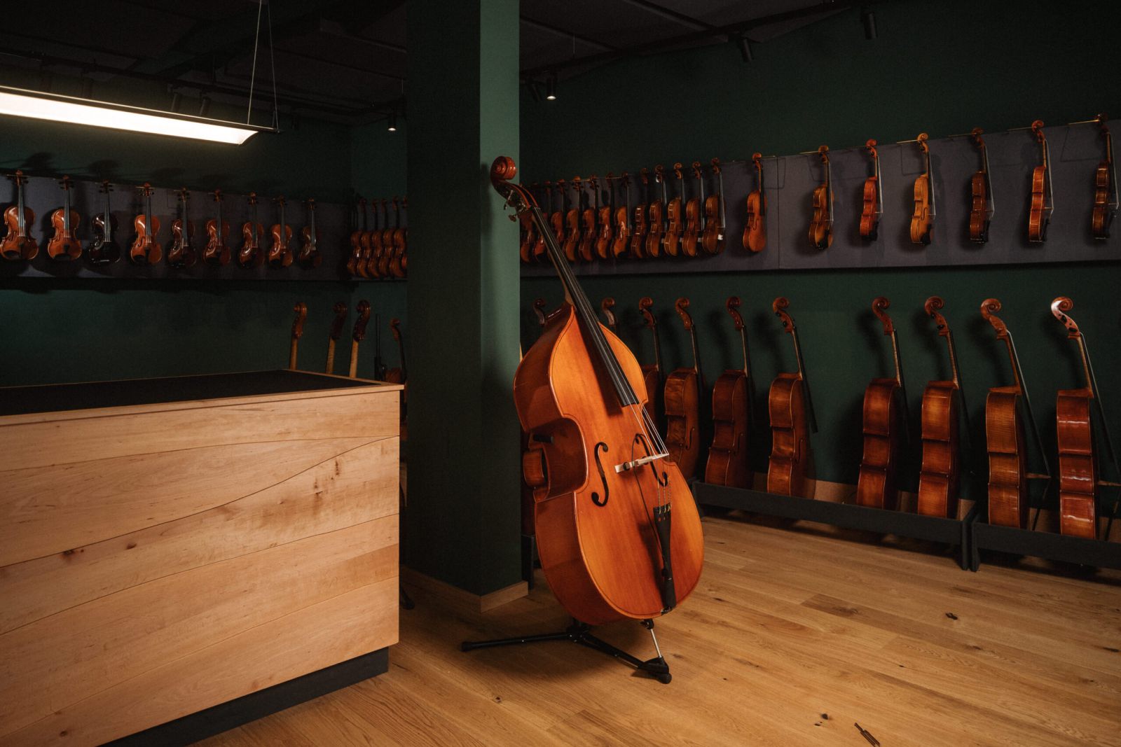 Ein Musikgeschäft mit Geigen und Celli an dunkelgrünen Wänden und auf einem Holzfußboden; ein Kontrabass steht neben einem hellen Holztisch im Vordergrund.