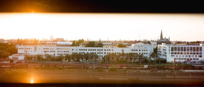 Stadtansicht bei Sonnenuntergang, teilweise durch dunkle Jalousien verdeckt. Weiße Gebäude, Eisenbahnschienen und Grünflächen sind zu sehen, mit einer Kirchturmspitze und einer dunstigen Skyline im Hintergrund. Warmes Sonnenlicht reflektiert auf dem Fenster.